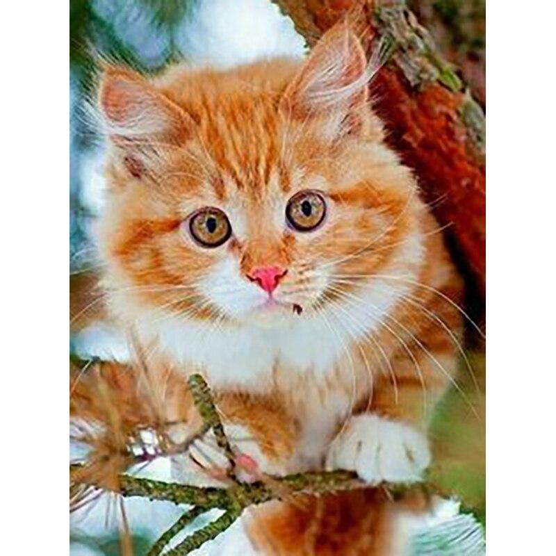 5D-Diamant-Malerei-Set zum Selbermachen, Blumen und Katzen, Diamant-Stickerei, Strass-Dekorationen für Zuhause
