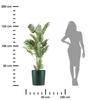 Pot with Stand Azalea Avocado 35 Cm