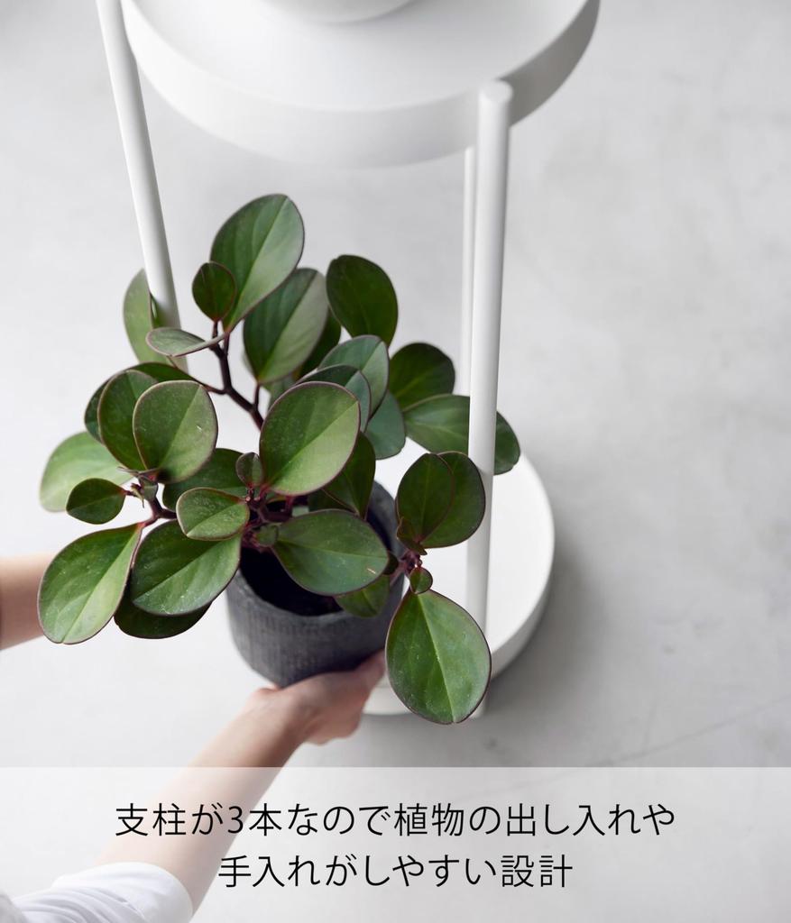 Yamazaki Jitsugyo 4366 Stojan na sázecí stroj s kolečky, 2 vrstvy, bílý, přibl.. Š25 x H26,5 x H70 cm, Věžový stojan na květiny, Okrasné rostliny, Snadno se přemisťuje