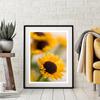 Nordic Minimalist Sunflower Chrysanthemum Posters Prints Wall Art Pictures Wonderful Life Canvas Painting Living Room Home Decor