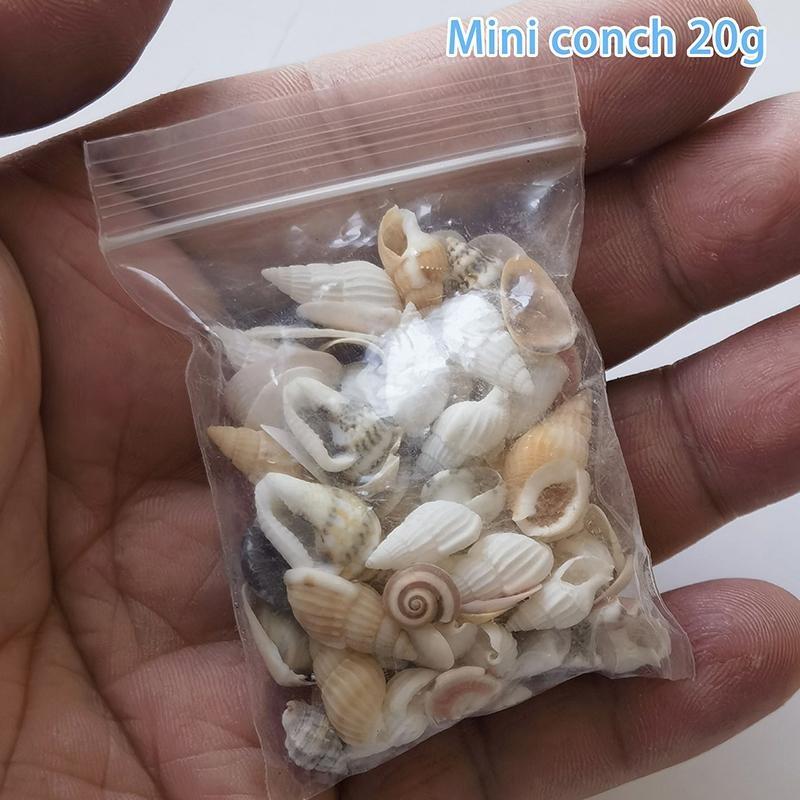 Fish Tank Supplies Mix Style Natural Shell Conch Aquarium Landscape Tiny Sea Shell Beach Decoration Party Diy Crafts
