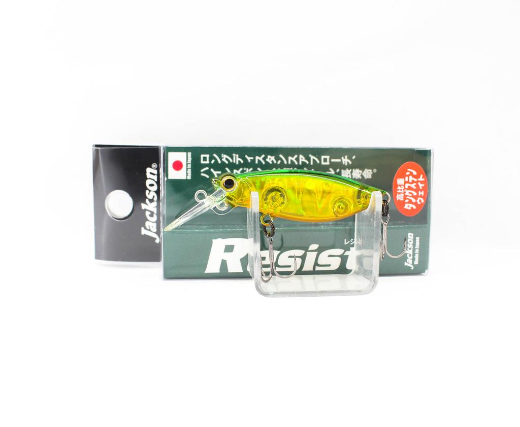 Jackson Resist 45 Floating Lure CMK (6636)