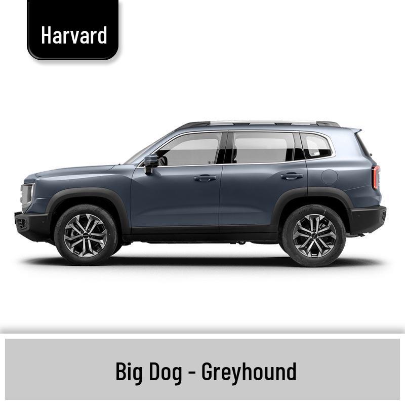 Haval Big Dog Car Scratch Repair Paint Pen - White, Black, Gray, Orange