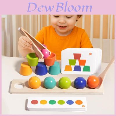 Wooden Color Matching Ball Blocks For Early Childhood Learning Toys