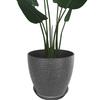 Glynislife Medium Deep Planter with Lightweight 17cm with Drainage Houseplant Pot Round Planter, Stylish, Saucer, Plastic, Indoor/Outdoor Use, Tall,
