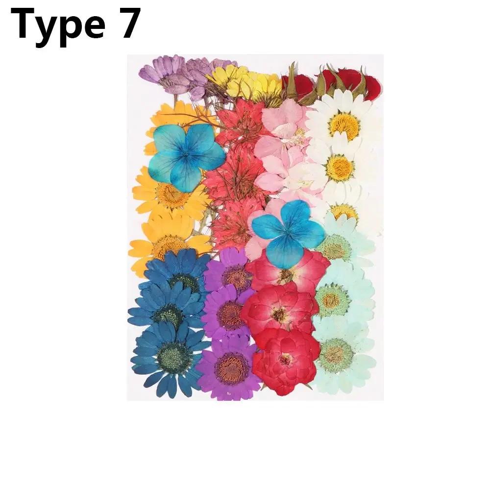 Dried Flowers UV Resin Decorative Natural Flower Stickers 3D Pressed Dried Flowers Beauty Decal Nail Art Epoxy Mold Filling