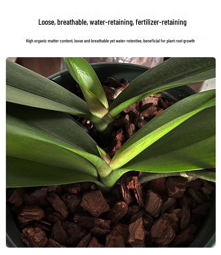 Special Fermented Pine Bark Substrate for Clivia, Phalaenopsis, and Dendrobium Orchids, New Zealand Bark for Top Dressing