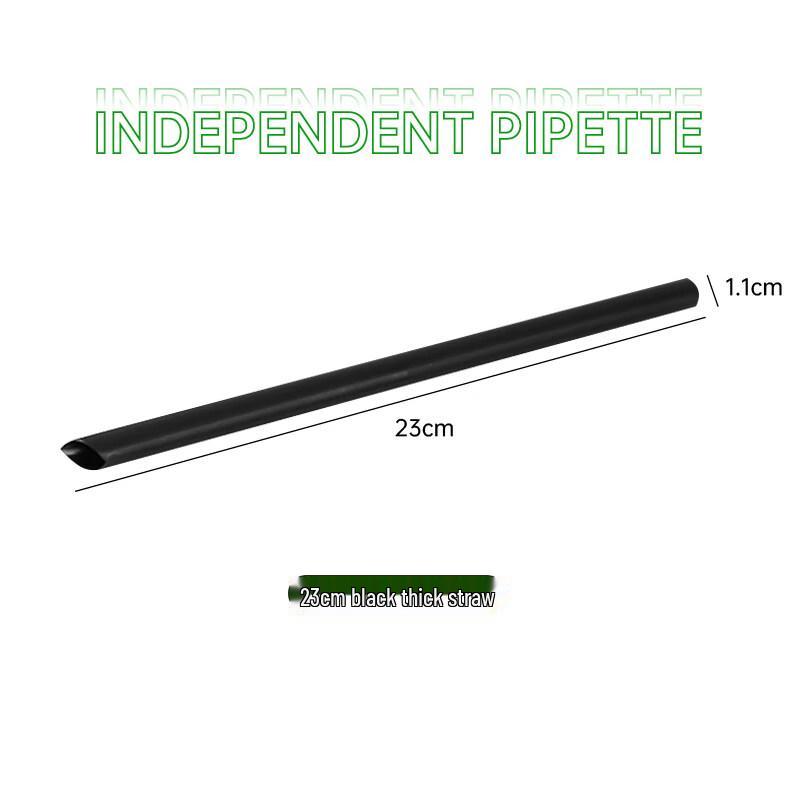 ZISIZ Individually Wrapped Black Plastic Drinking Straws