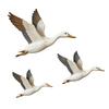 3 Pcs Wooden Duck Wall Decor Rustic Flying Birds Wall Art Vintage Farmhouse Hanging Ornaments for Living Room Bedroom Office