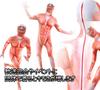 Attack on Titan Colossal Titan Full Body Zentai Cosplay Skin Tights Halloween Costume [kitamurasyokai] Costume, (L)