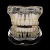 Trendy Gold Grillz: Hip-Hop Style Halloween Cosplay Tooth Jewelry