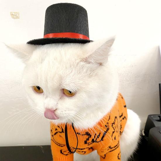 Pet Hat Exquisite Workmanship Wide Application Non Woven Fabric Magician Style Cat Cap for Daily Wear