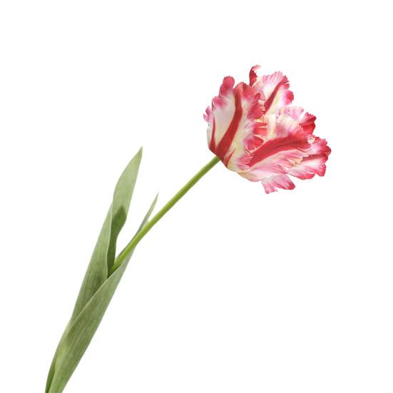 Simulovaný tulipánový květ Umělý tulipán s dlouhým stonkem Opakovaně použitelný Nenáročný Umělý tulipán pro květinové aranžmá Domácí Kancelář Svatba Dekorace