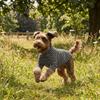 Dog Clothing High Collar Dog Thermal Shirt Soft Two Leg Dog Base Coat Comfortable Warm Pet Warm Sweater Small Medium Dog