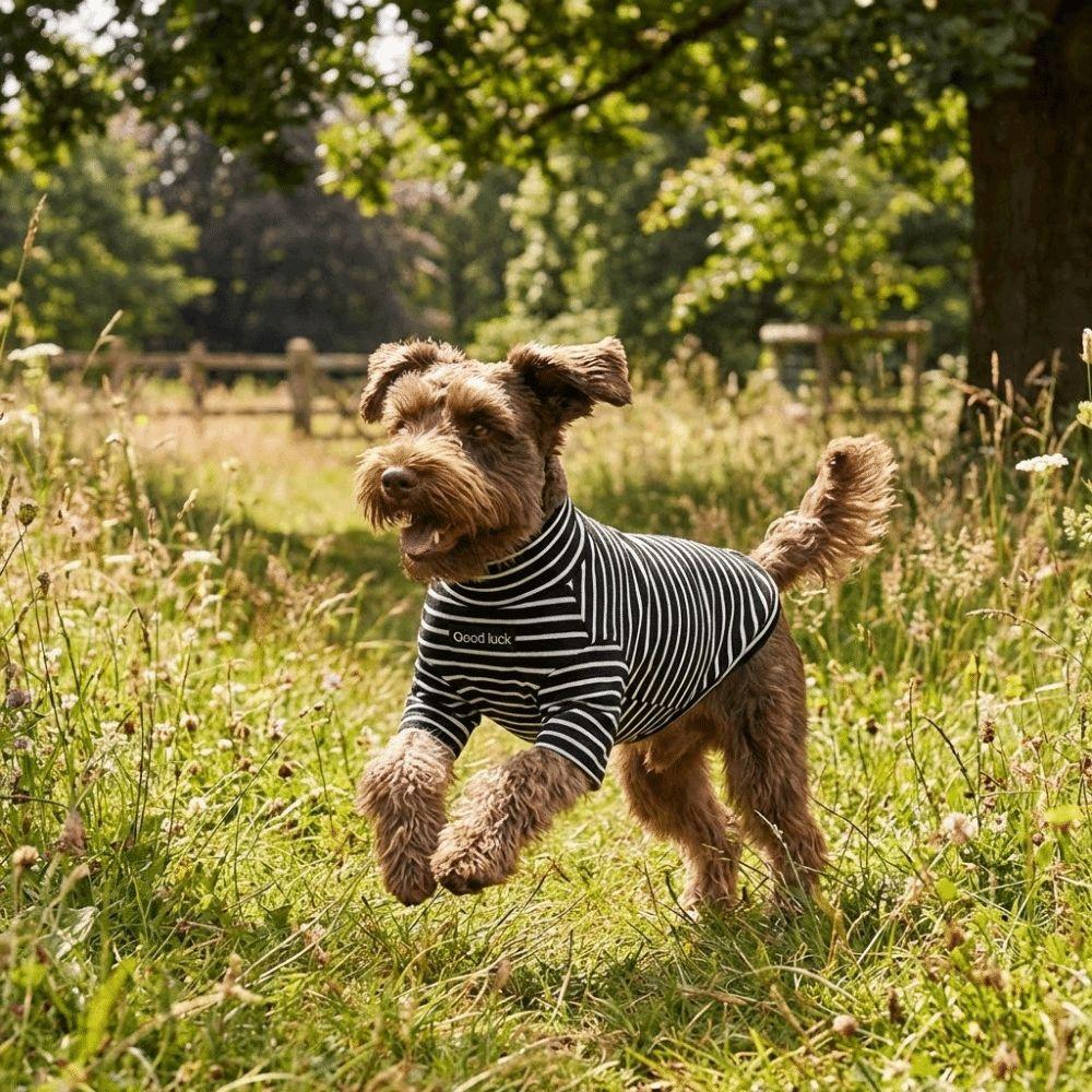Dog Clothing High Collar Dog Thermal Shirt Soft Two Leg Dog Base Coat Comfortable Warm Pet Warm Sweater Small Medium Dog