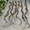 Faux Tree Branches For Garden Decor With Realistic Leaves For Outdoor Scenes