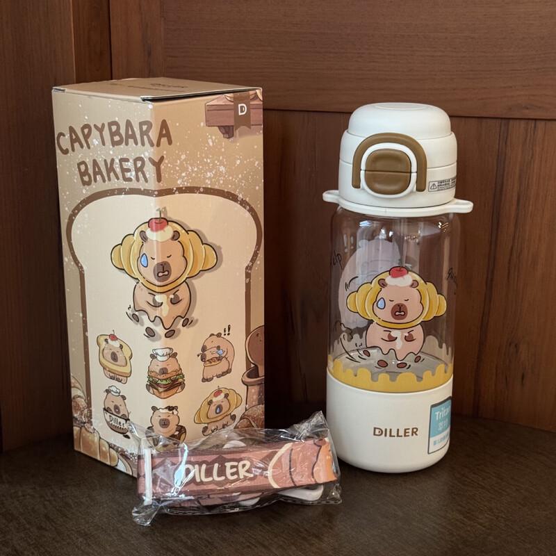 Dillerbell D2560 Girls  Insulated Straw Water Bottle