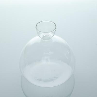 Vaso per la semina di avocado, vaso in vetro trasparente, vaso per la coltivazione di piante, kit per la coltivazione di semi in vetro per gli amanti del giardinaggio