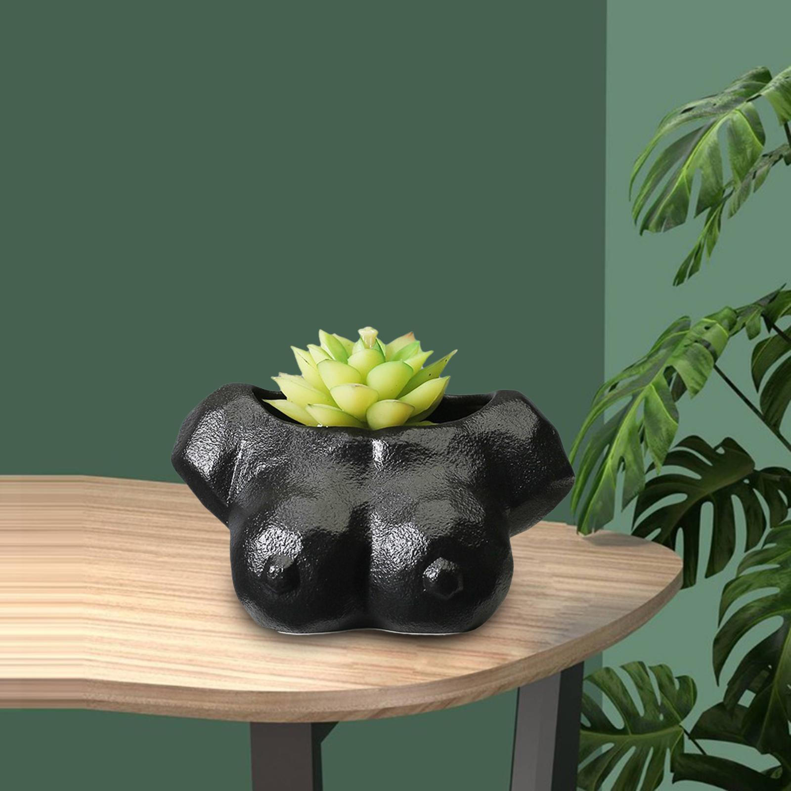 

Керамический цветочный горшок, горшечные растения, кактус, бонсай, сочные горшки, ваза, декор чёрный