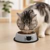 Non-slip Base Anti-dumping Cat Bowl Stainless Steel Dog Bowl Durable Steel Pet Bowl  dog