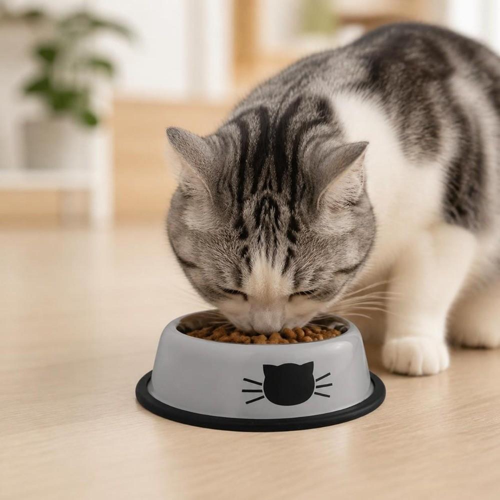 Non-slip Base Anti-dumping Cat Bowl Stainless Steel Dog Bowl Durable Steel Pet Bowl dog
