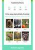 Solar Ultrasonic Animal Repeller with Flashing Light - Multifunctional Outdoor Device for Rats and Dogs