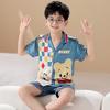 Boys Short Sleeve Ice Silk Pajama Set Cartoon Print Lightweight Sleepwear Kids Ages 8
