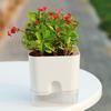 Yousheng Square Self Watering Pot with Drainage Hole Clear Reservoir Indoor Outdoor Plants Planting Pot Herbs Succulents Flower Planter with Wick