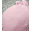 Used BTS BT21 Cushion & Mat