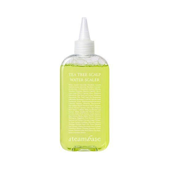 STEAMBASE Tea Tree Scalp Water Scaler 250ml Special Set (+50ml + Brush)