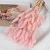 60 Pieces Dried Bunny Tail Grass Stems Natural Decorative Floral Arrangement for Home Wedding Centerpiece Craft Projects