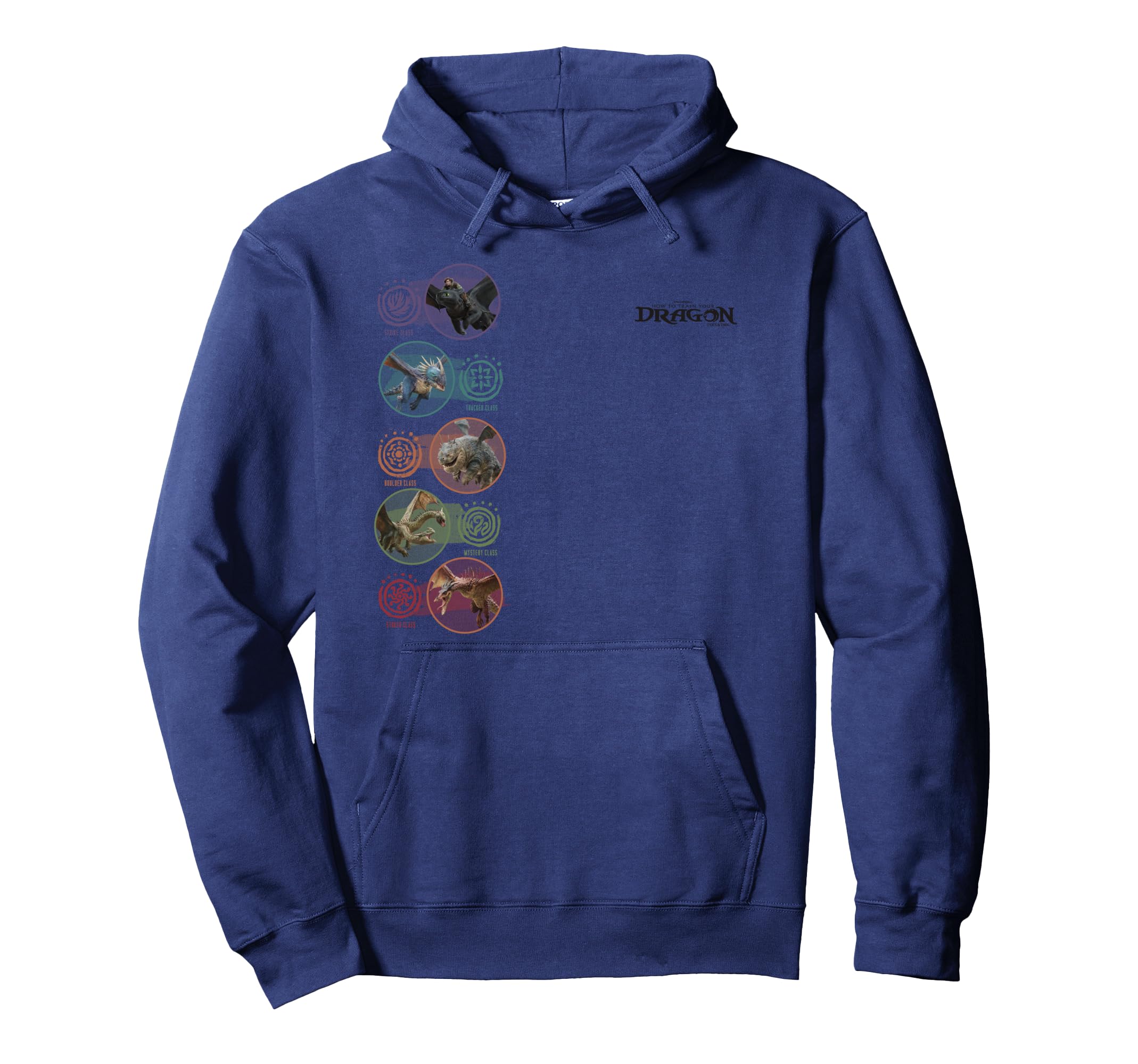 

DreamWorks How to Train Your Dragon Class Types Hoodie