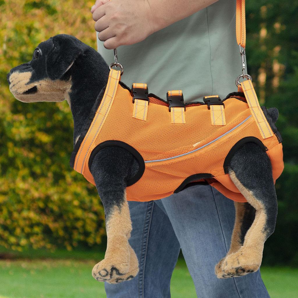 Imbragatura di supporto regolabile per cani anziani con problemi alle articolazioni
