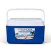 Outdoor Insulated Cooler Box Lunch Box for Camping Picnic Beach Car