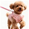 Comfortable Beauty Cute Outdoor Comb Dog Leash Harness Small and Medium-sized Dog Walking Rope Vest Style Teddy Pet Dog Skirt