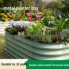 European Galvanized Metal Planter Box - Raised Bed for Vegetables & Flowers In Courtyard or Garden