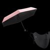 Beneunder Five-Fold Sun Umbrella & Sun Mask Set