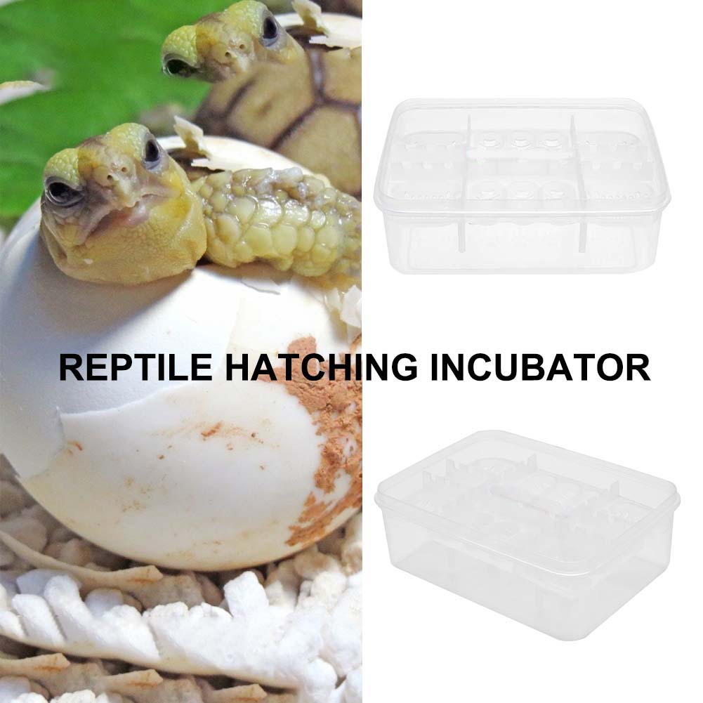 16 Grids Plastic Reptiles Egg Incubator Tray Lizard Snake Eggs Hatcher Box Case
