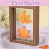 Wooden Doublesided Glass Photo Frame For A4 Herb Leaf Specimen Diy Art Display For Home Decor