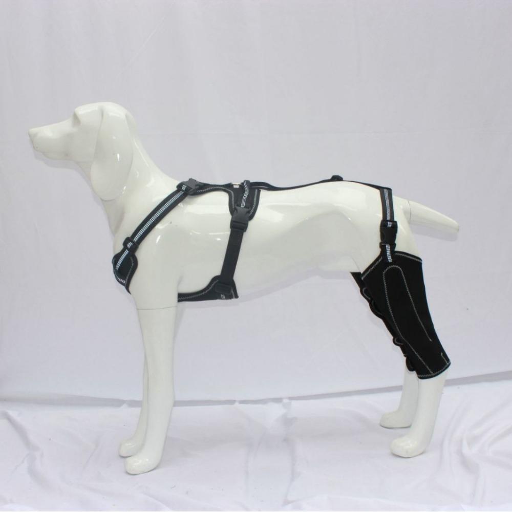 

Reduces Pain Hind Leg Dog Leg Brace Auxiliary Belt Dog Knee Rehabilitation Belt Dog ACL Brace Support Dog Leg Protectors M чорний
