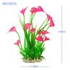 Vissen en zeedieren – Aquarium decoratie