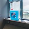 Glass Cleaner 5L - Preparat Do Mycia Szyb