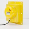 Explosion-Proof TDP-1 Belt Elevator Deviation Prevention Switch BXTDP-1