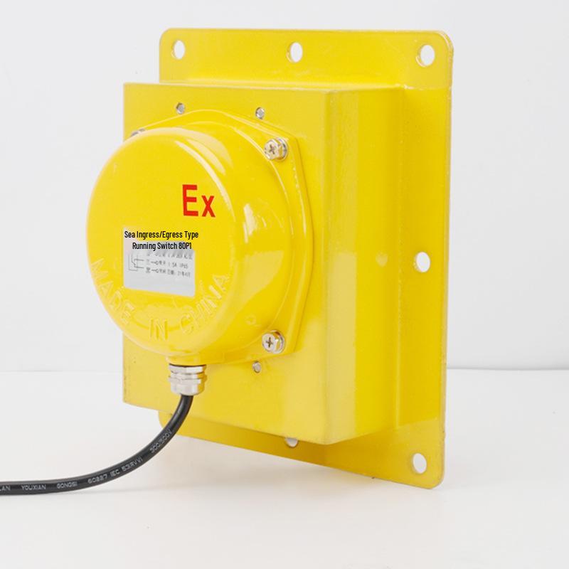 Explosion-Proof TDP-1 Belt Elevator Deviation Prevention Switch BXTDP-1