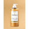 Kerasys Propolis Repair Treatment Pro Velmi Poškozené Vlasy 1l