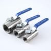 High-Temperature Stainless Steel Cantonese Internal Thread Ball Valve, Thickened, 4, 6 Points, 1 & 2 Inch Options