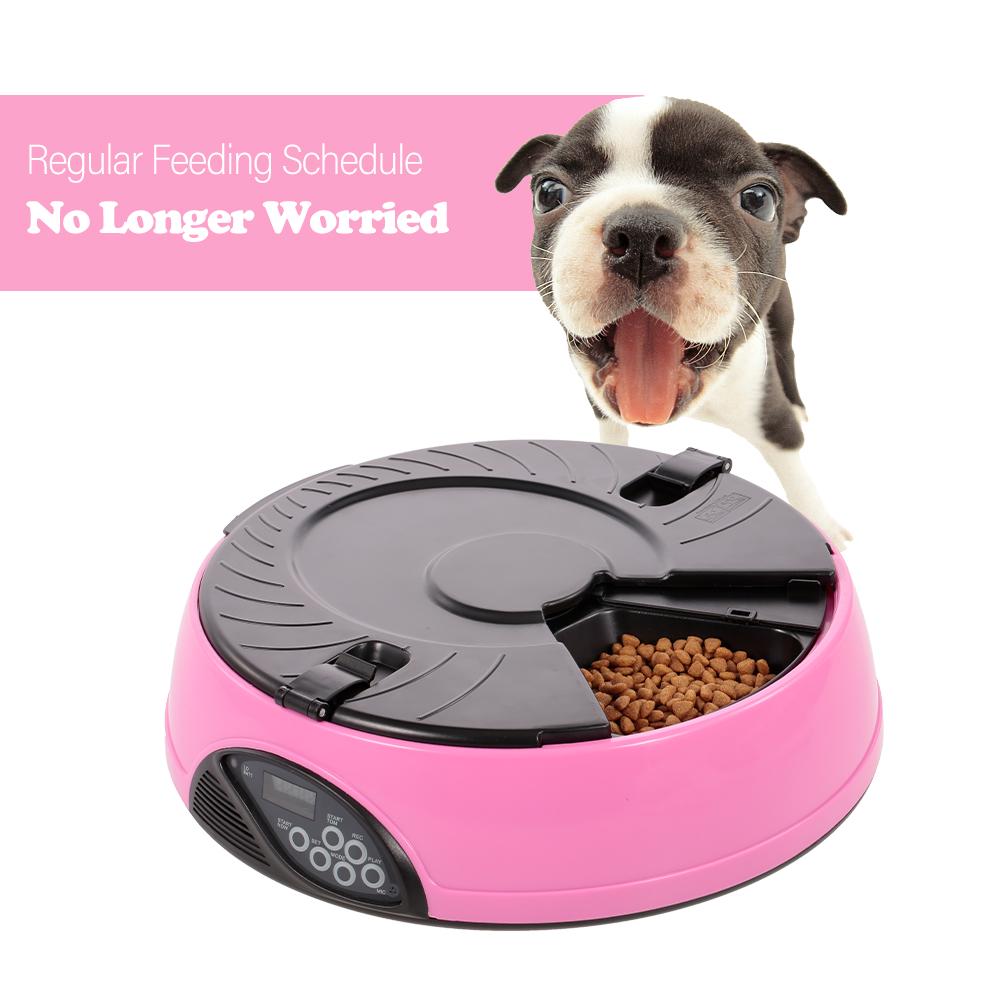 dog bowl timer