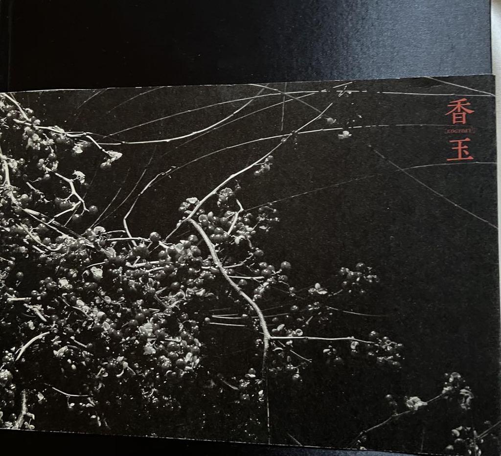 [USED] Kazuya Sugita's Works Collection: Kogyo