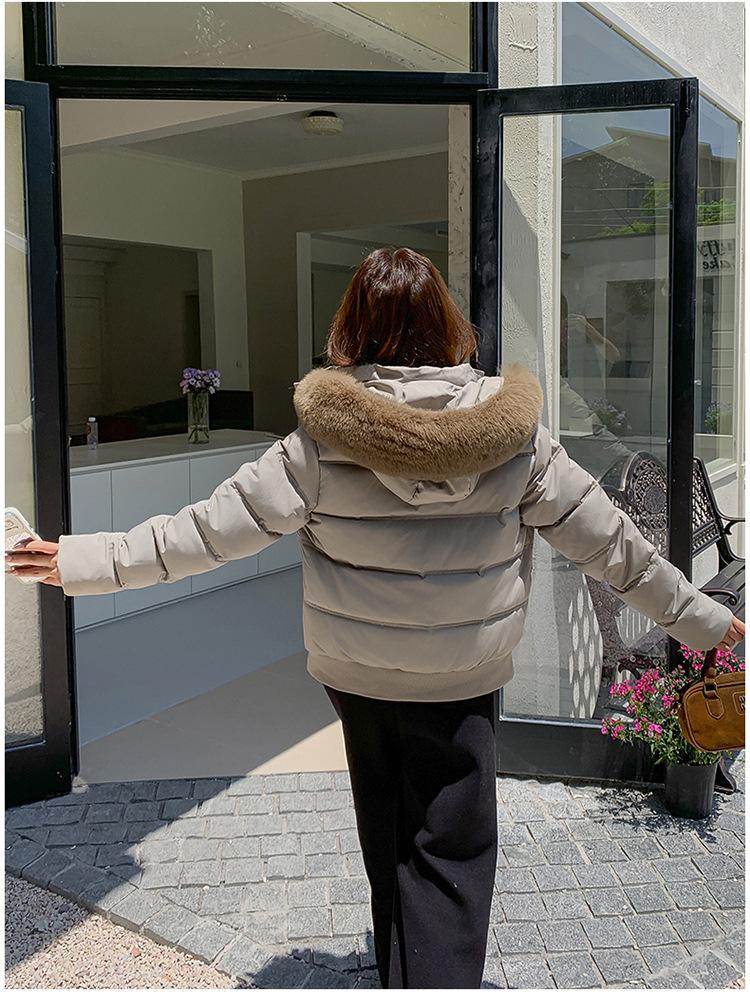 Women’s Short Big Fur Collar Hooded Windproof Thicken Warm Winter Jacket