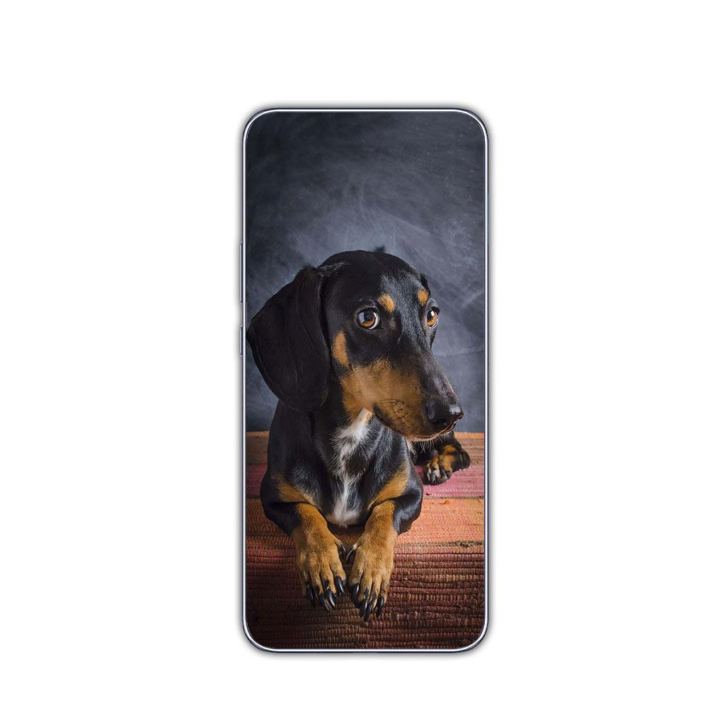 Animal Lovely Dachshund Dog Phone Cover for Motorola Moto G13 G14 G53 G54 G62 G72 G82 G84 E13 E20 G42 G32 G23 G22 Soft Case